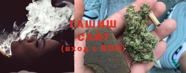 индика Алзамай