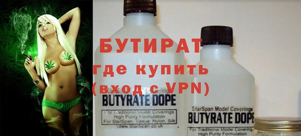индика Алзамай