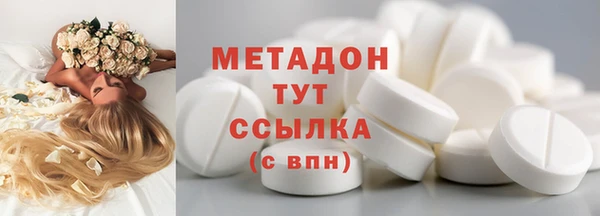 индика Алзамай