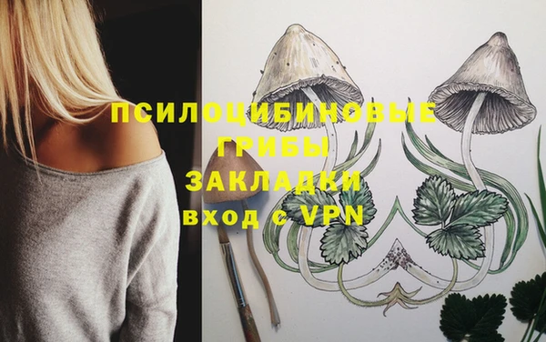 индика Алзамай