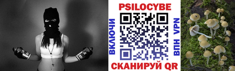 кракен зеркало  Пущино  Псилоцибиновые грибы Psilocybine cubensis 